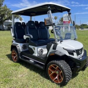 Sale 2025 evolution d max xt4 rear view north carolina nationwide delivery export.jpg