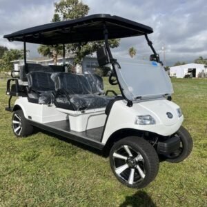 Sale evolution carrier 6 plus 6 seater electric cart for sale.jpg