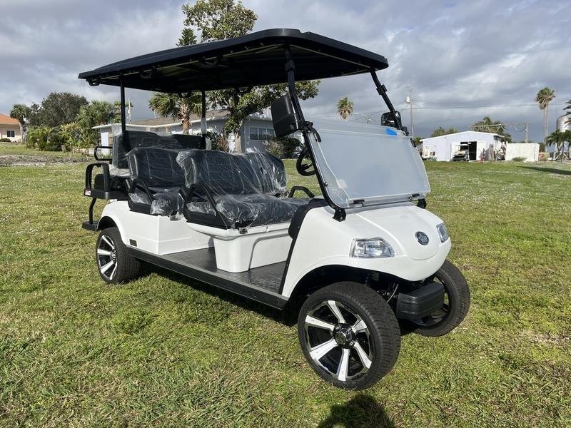 evolution carrier 6 plus 6 seater electric cart for sale.jpg