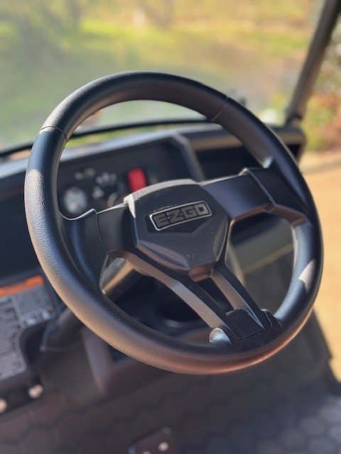 steering wheel 1.jpg